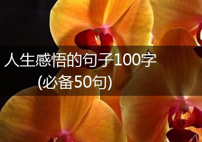 人生感悟的句子100字(必备50句)