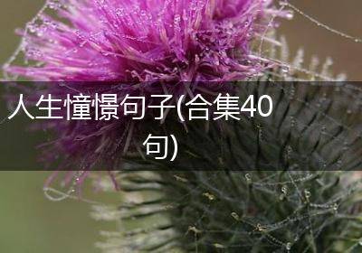 人生憧憬句子(合集40句)