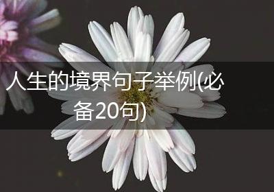 人生的境界句子举例(必备20句)