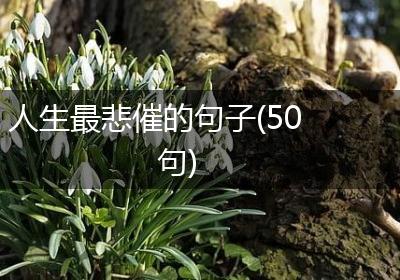 人生最悲催的句子(50句)