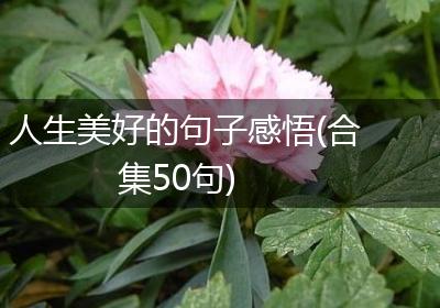 人生美好的句子感悟(合集50句)