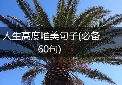 人生高度唯美句子(必备60句)
