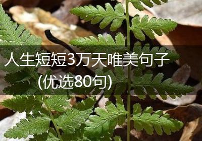 人生短短3万天唯美句子(优选80句)