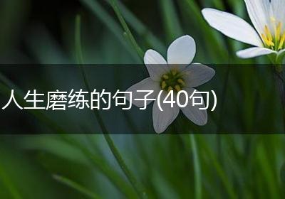 人生磨练的句子(40句)