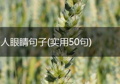 人眼睛句子(实用50句)