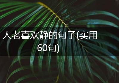 人老喜欢静的句子(实用60句)