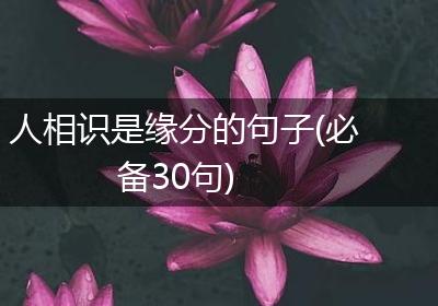 人相识是缘分的句子(必备30句)