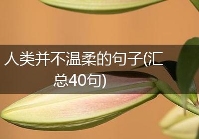 人类并不温柔的句子(汇总40句)