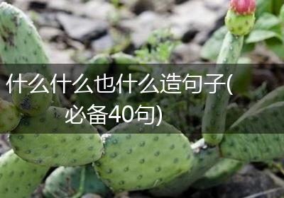 什么什么也什么造句子(必备40句)