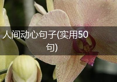 人间动心句子(实用50句)