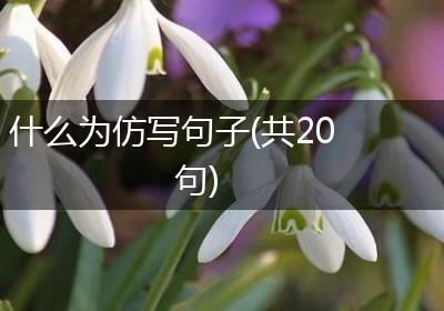 什么为仿写句子(共20句)