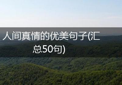 人间真情的优美句子(汇总50句)