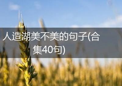人造湖美不美的句子(合集40句)