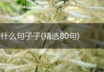 什么句子子(精选80句)
