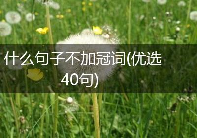 什么句子不加冠词(优选40句)
