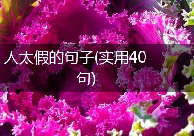 人太假的句子(实用40句)