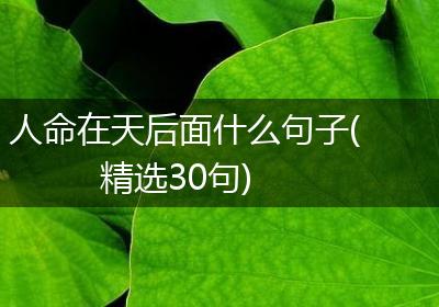 人命在天后面什么句子(精选30句)