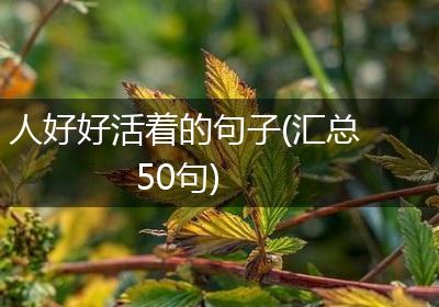 人好好活着的句子(汇总50句)