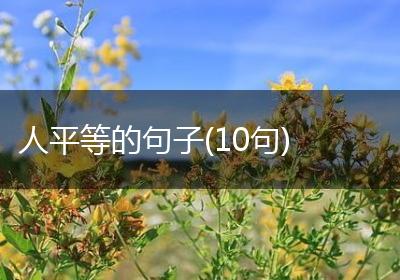 人平等的句子(10句)