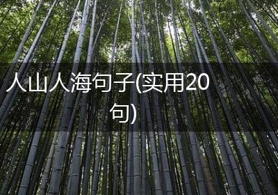 人山人海句子(实用20句)