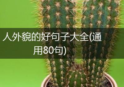 人外貌的好句子大全(通用80句)