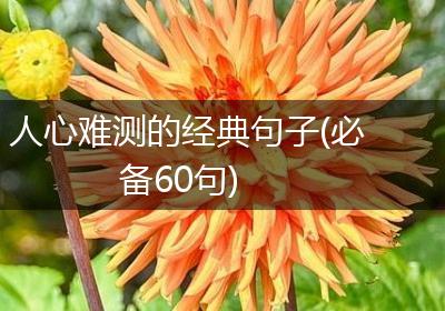 人心难测的经典句子(必备60句)