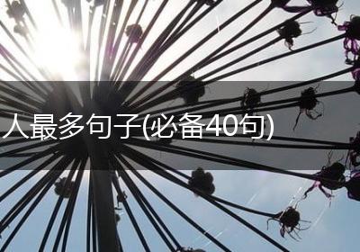 人最多句子(必备40句)