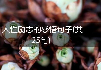 人性励志的感悟句子(共25句)