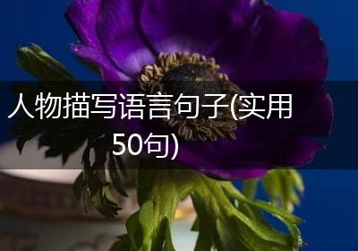 人物描写语言句子(实用50句)