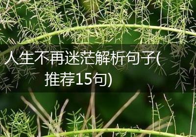 人生不再迷茫解析句子(推荐15句)