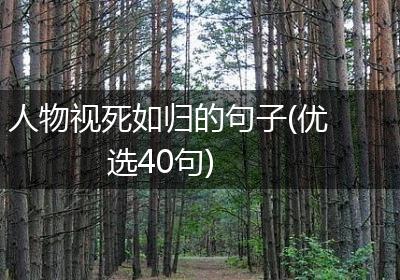 人物视死如归的句子(优选40句)