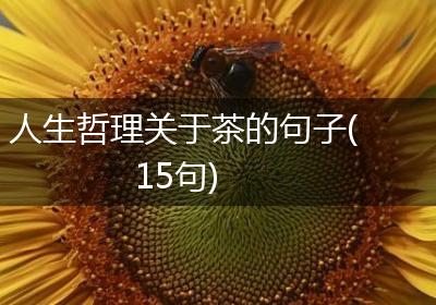 人生哲理关于茶的句子(15句)