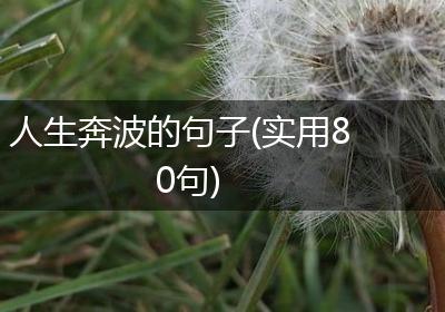 人生奔波的句子(实用80句)