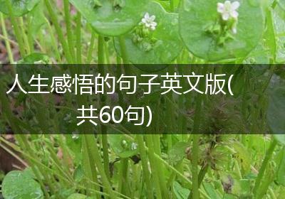 人生感悟的句子英文版(共60句)