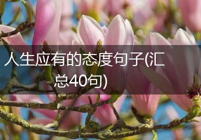 人生应有的态度句子(汇总40句)