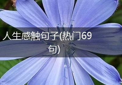 人生感触句子(热门69句)