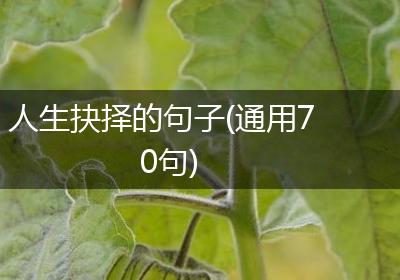 人生抉择的句子(通用70句)