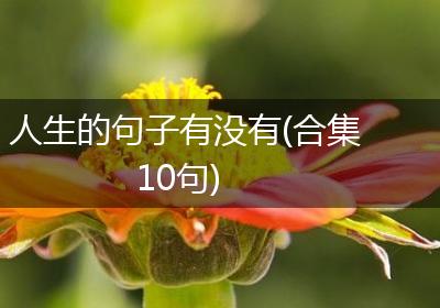 人生的句子有没有(合集10句)