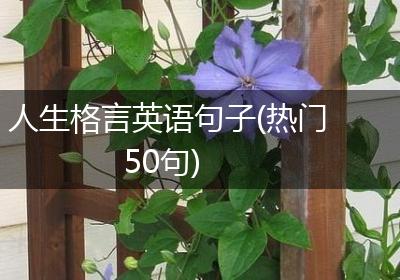 人生格言英语句子(热门50句)