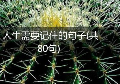 人生需要记住的句子(共80句)