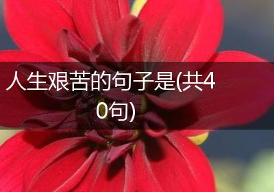 人生艰苦的句子是(共40句)