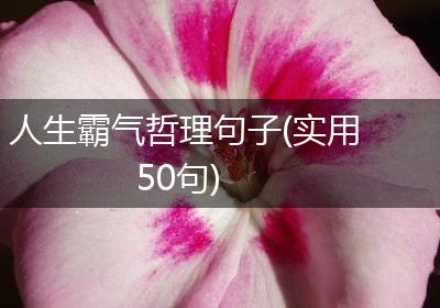 人生霸气哲理句子(实用50句)