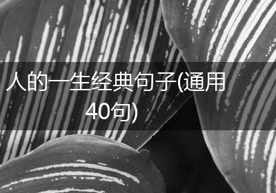 人的一生经典句子(通用40句)