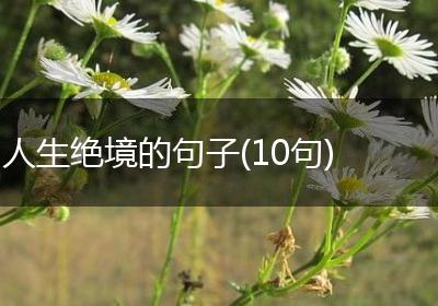 人生绝境的句子(10句)