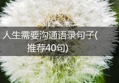 人生需要沟通语录句子(推荐40句)