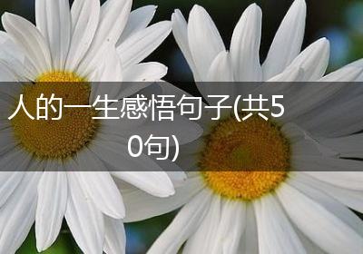 人的一生感悟句子(共50句)