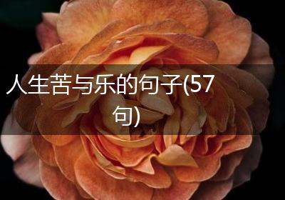 人生苦与乐的句子(57句)