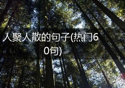 人聚人散的句子(热门60句)