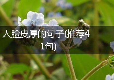 人脸皮厚的句子(推荐41句)
