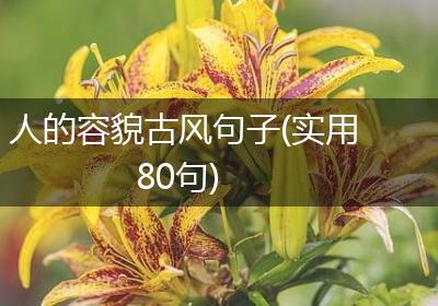 人的容貌古风句子(实用80句)